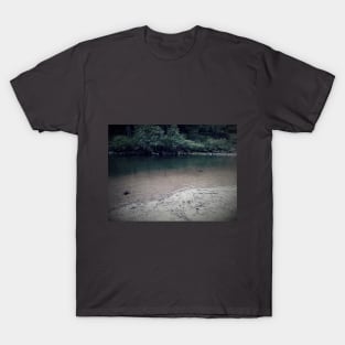 Riverside Beach (dark) T-Shirt